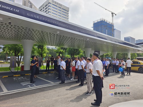 福州市政協開展新能源產業培育視察活動，助力綠色經濟發展