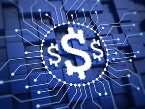 楊望 以數(shù)字貨幣破題普惠金融，數(shù)字技術(shù)服務(wù)實體經(jīng)濟新路徑